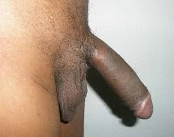 Testimonial 4